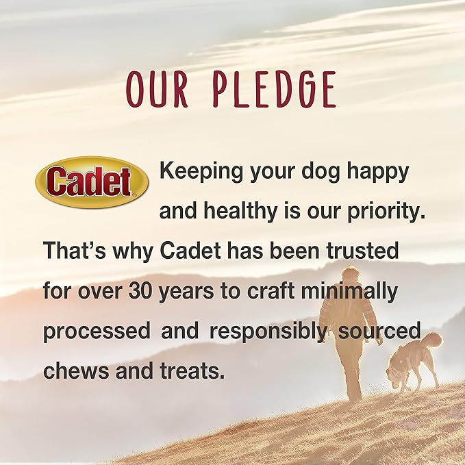 Cadet Stuffed Shin Bone, Long-Lasting Dog Chew Bones for Aggressive Chewers, High Protein Filled Bone Dental Chew for Dogs, Chicken Flavor Filling, 3-4" for Small Dogs