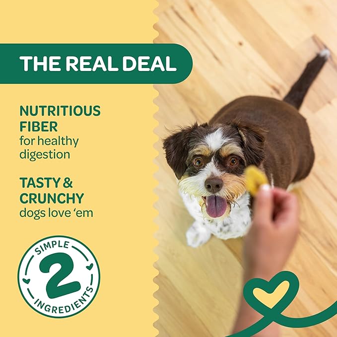 Wholesome Pride Banana Bites Dog Treats – 2-Ingredient Banana Chips for Dogs, Grain-Free, Banana & Coconut Oil, 16 oz
