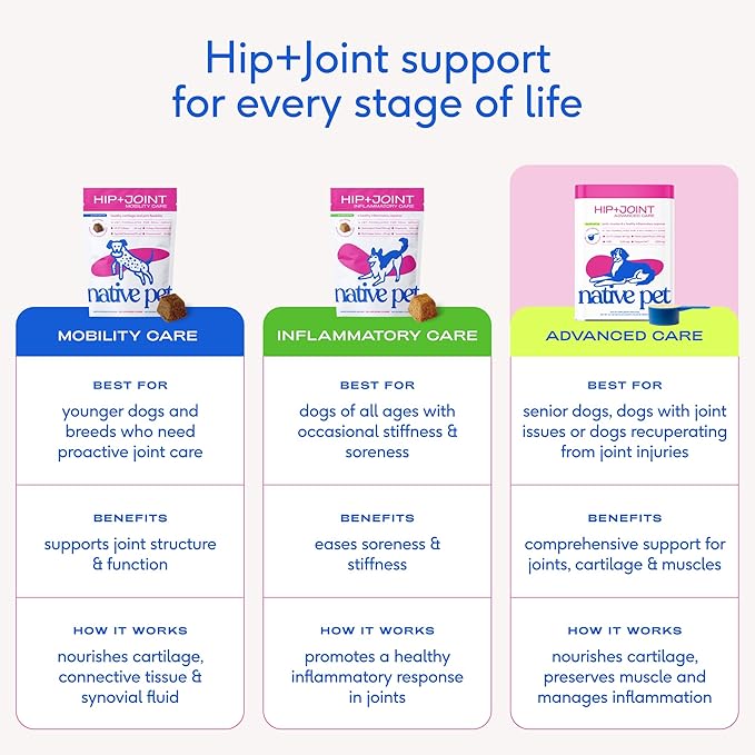 Native Pet Hip & Joint Advanced Care Dog Joint Supplement Powder for Mobility & Movement Support, Joint Supplement for Dogs with HMB, UC-II Collagen, Green Lipped Mussel & Hyaluronic Acid – 60 Scoops