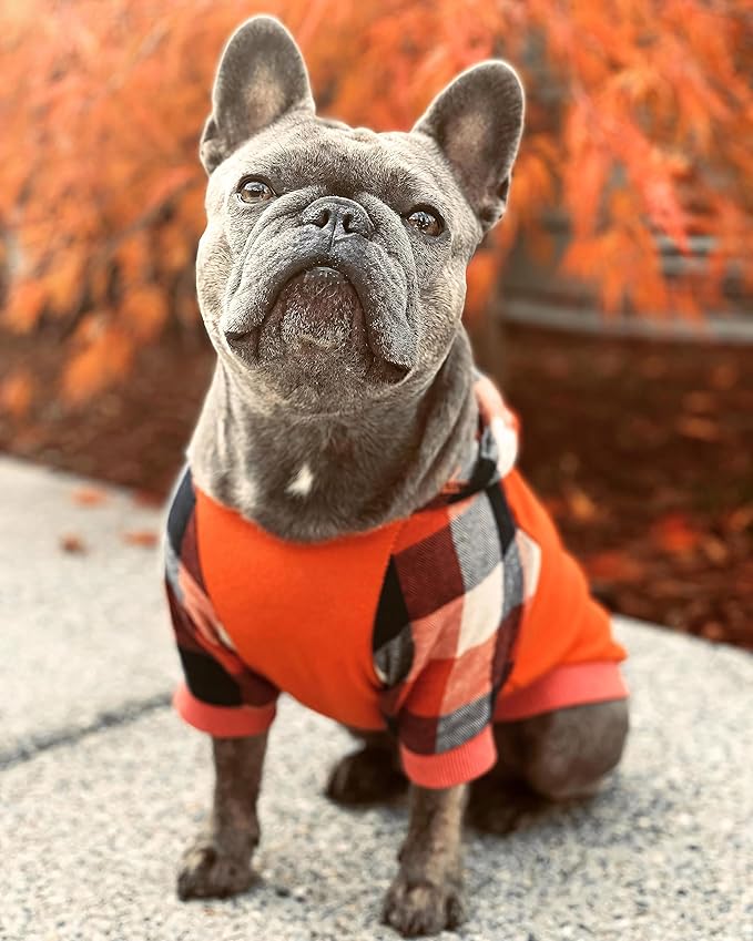 Fitwarm Dog Plaid Shirts Doggie Clothes Puppy Hoodies Cat Hooded T Shirts Pet Outfits Cotton Orange XS