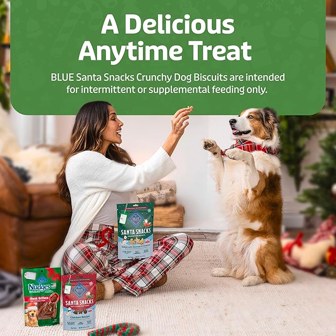 Blue Buffalo Santa Snacks Crunchy Dog Biscuits, Oven-Baked With Natural Ingredients, Oatmeal & Cinnamon, 11-oz Bag