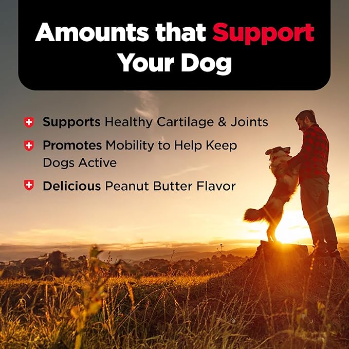 Nutri-Vet Hip & Joint Biscuits for Dogs, Tasty Glucosamine Treat, Puppy Supplements, Dog Joint Supplement, Small Sized Biscuit with 200mg Glucosamine, Puppy Essentials, Peanut Butter Flavor, 16 oz