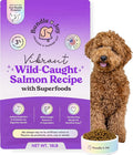 Bundle x Joy Vibrant Probiotic Dog Food Dry, Salmon, 18lb Bag, Allergy and Gut-Friendly Adult Kibble for Digestive Health with Wild-Caught Salmon, 20 Plant Based Superfoods, Grain x Poultry Free