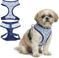 Parisian Pet Sailboat Dog Harness - Breathable No Pull Puppy Harness with Leash Ring - Adjustable Harnesses for Dogs - Soft Padded Step-in Pet Vest - Lightweight Dog Vests for Medium Sized Dogs