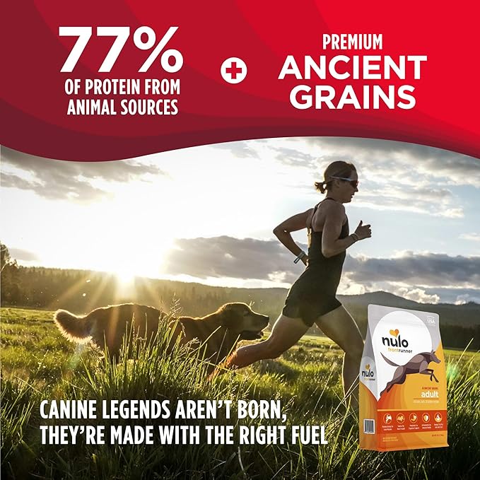 Nulo Frontrunner Dry Dog Food - Adult High-Protein Chicken, Oats & Turkey Recipe, Natural Kibble with Ancient Grains, Probiotics, Taurine, Omega 3 for Small, Medium and Large Breeds, 5lb Bag