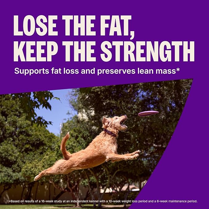 Wellness CORE Dry Dog Food, Grain-Free, High Protein, Natural, Healthy Weight Turkey & Chicken Recipe, (26-Pound Bag)