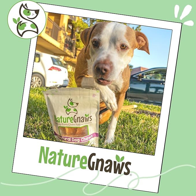 Nature Gnaws Beef Paddywack Tendons for Dogs 5-6" (10 Count) - Long Lasting for Aggressive Chewers - Natural Beef Dog Chew Bones - Rawhide Free