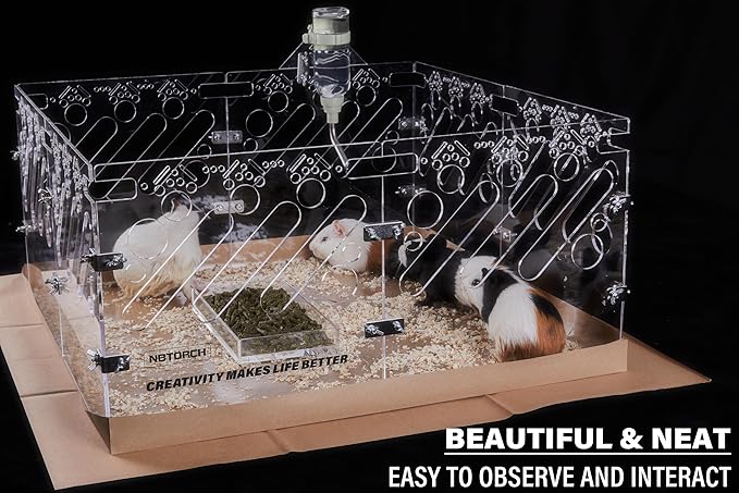 Acrylic Guinea Pig Cages - 2x2ft Small Animal Cage | DIY Extendable | Easy-to-Clean Disposable Bottom (Without Lid)