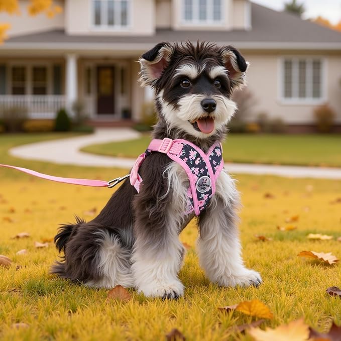 Patas Lague Dog Harness with Leash Set Adjustable Soft Padded Step-in Dog Vest No Choke No Pull Reflective for Small Medium Pets with Poop Bags and Dispenser, Solid and No-chew, Floral Pink S