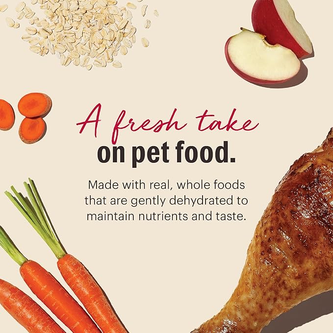 The Honest Kitchen Human Grade Wholemade™ Dehydrated Dog Food, Whole Grain Turkey Dog Food, 4 lb (Makes 16lbs)