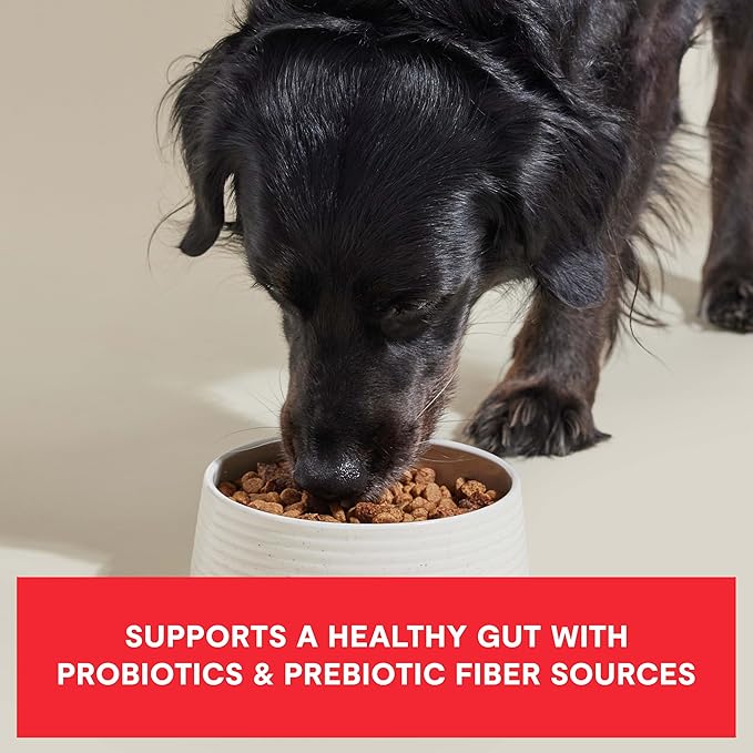 Open Farm, Epic Blend High Protein Dry Dog Food, Probiotic Coated & Bone Broth Infused Kibble with Air Dried Meat & Organs, Minimally Processed & Nutrient Dense, Beef & Superfood Recipe, 18lb Bag