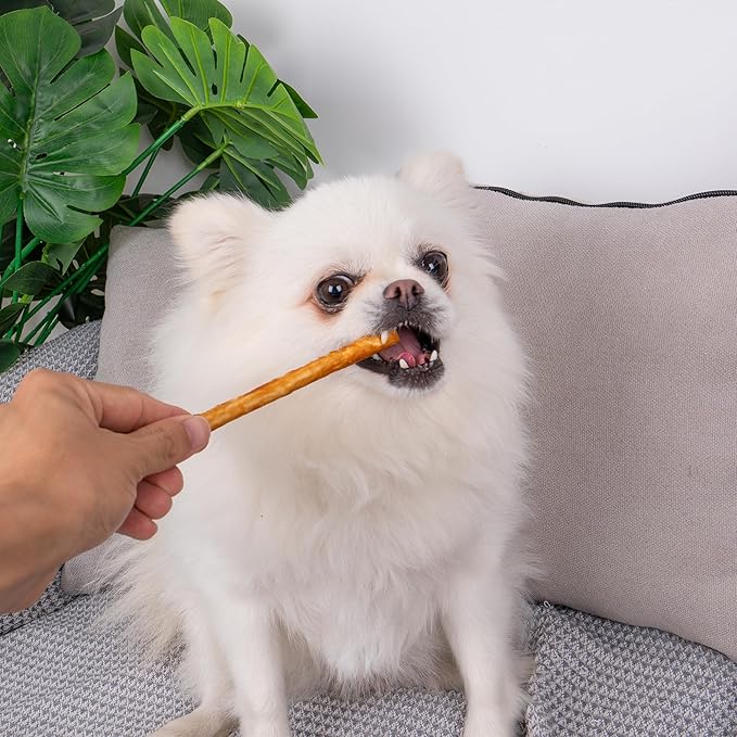 MON2SUN Chicken Collagen Sticks for Dogs, 5 Inch Teeth Cleaning Collagen Chews for Small Dogs (Chicken Flavored),Healthy Snacks, 21.16oz (75 Count-Pack of 1)