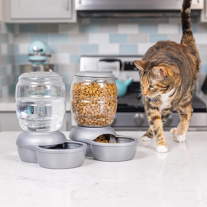 Petmate Replendish Automatic Gravity Waterer for Cats and Dogs, BPA-Free, No Batteries Required, Includes Charcoal Filter, 1 Gallon, Made in USA