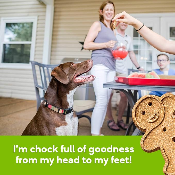 Buddy Biscuits Oven Baked Healthy Dog Treats, Crunchy, Whole Grain and Baked in The USA, 16 oz, 6 Pack