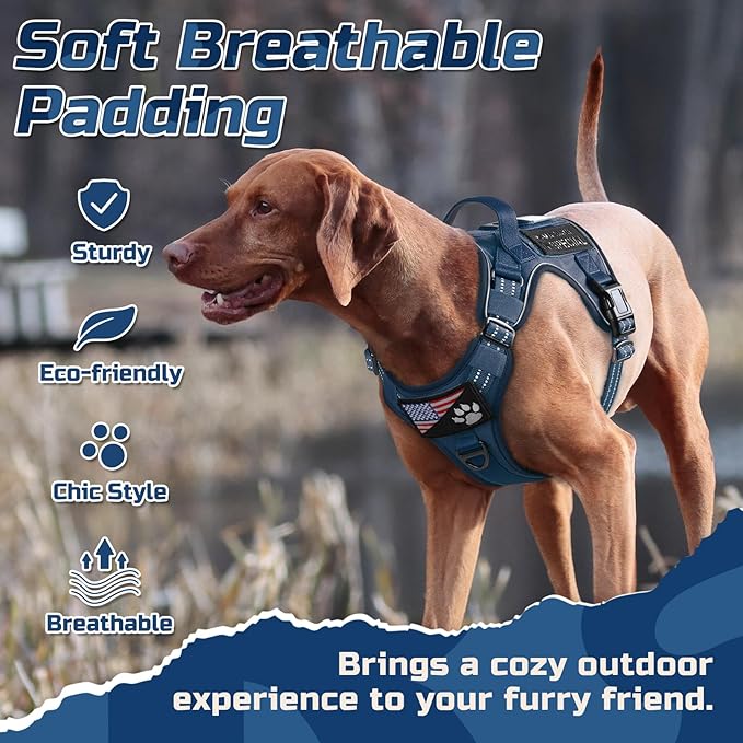 rabbitgoo Tactical Dog Harness for Small Dogs, No Pull Military Service Vest with Handle & Molle, Easy Control for Training Walking, Adjustable Reflective Straps, Blue, S