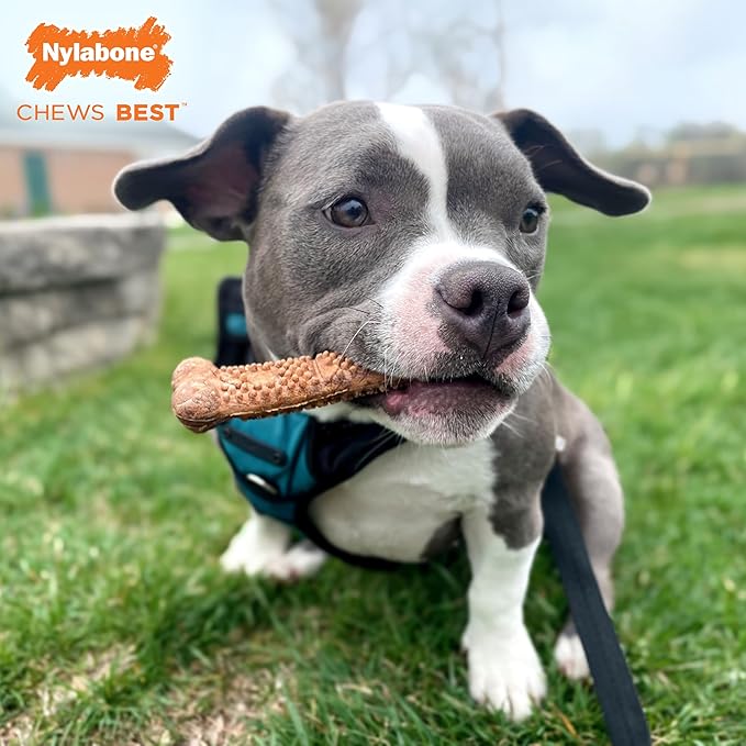 Nylabone Healthy Edibles Natural Dog Chews Long Lasting Chew Treats for Dogs, Roast Beef Flavor, X-Small/Petite (4 Count) (Pack of 2)