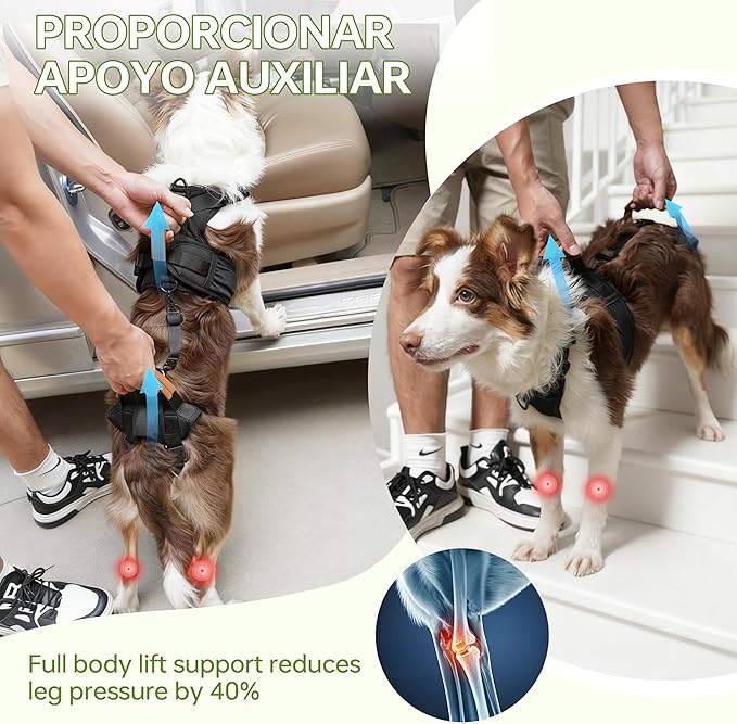 Dog Lift Harness for Male Dogs - 2-in-1 Full Body Support Aid & Sling, Comfortable & Chafe-Free for Post-Surgery Recovery and Elderly Dog Mobility, Hind Leg Assistance, Supports up to 27 Lbs (S)