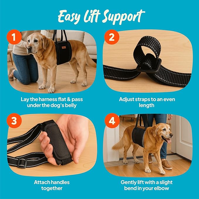 Dog Lifting Harness - Mobility Sling for Weak Back Legs - Rear Support with Soft Fleece Pad, Adjustable Straps & Padded Handle for Recovery & Senior Dogs - Machine Washable (Size XL)