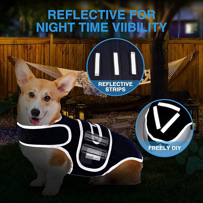 Back Bracer for IVDD Arthritis, Lab Spinal Surgical Recovery, Soft Rehab Frame Support Harness for Back, Adjustable Dachshund Pet Hip Brace Support Helps Pain Relief and Disease Rrevention (XL)