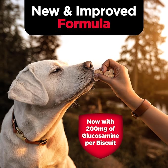 Nutri-Vet Hip & Joint Biscuits for Dogs, Tasty Glucosamine Treat, Puppy Supplements, Dog Joint Supplement, Small Sized Biscuit with 200mg Glucosamine, Puppy Essentials, Peanut Butter Flavor, 16 oz