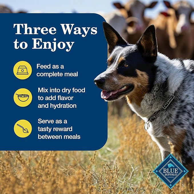 Blue Buffalo Homestyle Recipe Natural Adult Healthy Weight Wet Dog Food, Chicken 12.5-oz can (Pack of 12)