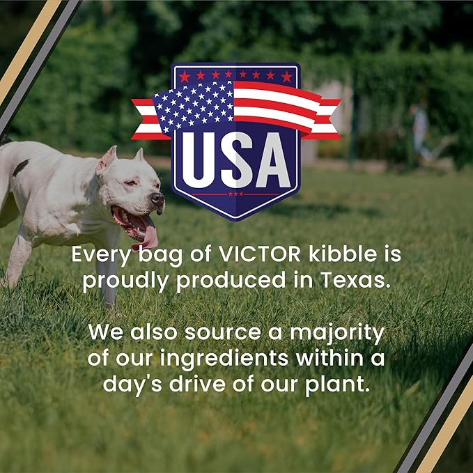 VICTOR Bully Fuel Dry Dog Food, 40 lb – Real Beef First Ingredient, High-Calorie Formula for Lean Muscle, Glucosamine & Chondroitin for Joint Health, Omega 3 & 6 for Skin & Coat