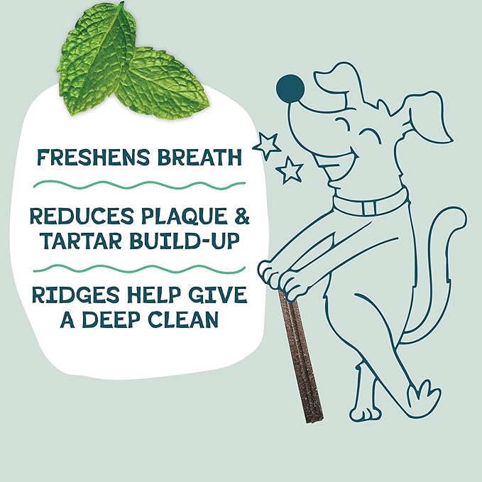 Shameless Pets Blueberry & Mint Dental Chews for Dogs, 32 Chews - Natural Dog Teeth Cleaning Treats with Fresh Breath Benefits | Grain-Free Dental Sticks for Small, Medium & Large Dogs