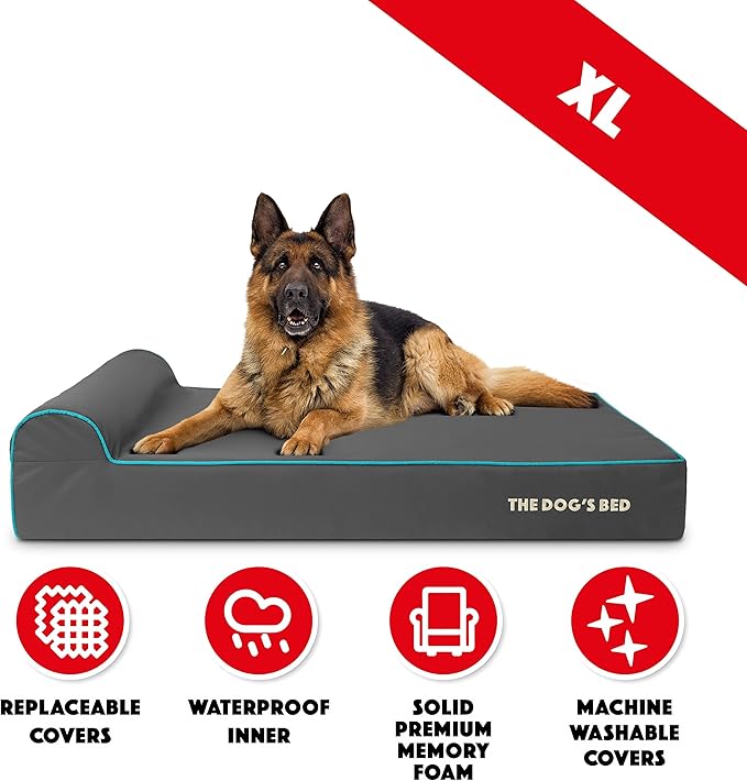 The Dog’s Bed Orthopedic Memory Foam Dog Bed with Headrest, Calming Surface – CertiPUR-Certified Foam, Oxford Fabric, Grey with Blue Trim, XL, 6-Inch