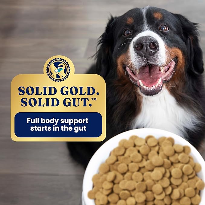 Solid Gold Dry Dog Food for Adult & Senior Dogs - Made with Oatmeal, Pearled Barley, and Fish Meal - Holistique Blendz Potato Free High Fiber Dog Food for Sensitive Stomach & Immune Support -24 LB