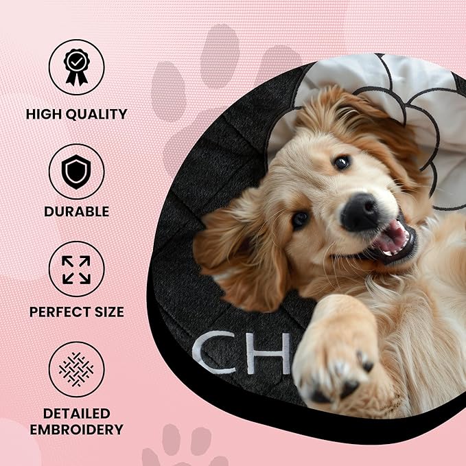 Dog Diggin Designs Parody Cloud 9 Bed Collection | Soft, Stylish, Comfortable, Eye-Catching Design | Machine Washable Removable Cover for Easy Cleaning