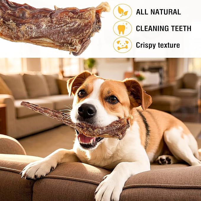 Grass-Fed Beef Tail Bones for Dogs – Durable Chewing Treats, No Additives or Fillers, Supports Teeth & Gum Health,Single Ingredient, Rawhide-Free & Digestible for All Dogs