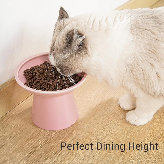 CEEFU Extra Wide Elevated Ceramic Cat Food Bowl - 6.2" Shallow Dish for Whisker Fatigue Relief, 5" Height for Easy Feeding, Lead & Cadmium Free, Durable Raised Cat Food Bowls, Pink