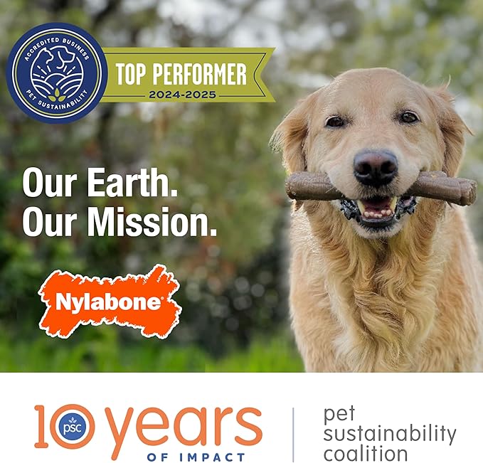 Nylabone Nubz Natural Dog Chew Treats for Large Dogs, Long Lasting Dog Bones Made in USA, Chicken Flavor Breath Freshener Dental Chews, For Dogs Over 30 lbs. (18 Count)