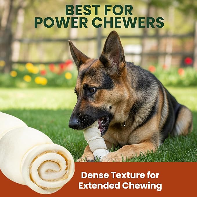 4 Pack 6 Inch Beef Cheek Rolls Extra Thick for Dogs – Digestible Rawhide Alternative Chews, Long Lasting Dental Treats, Single Ingredient Natural Dog Chews for Medium to Large Dogs