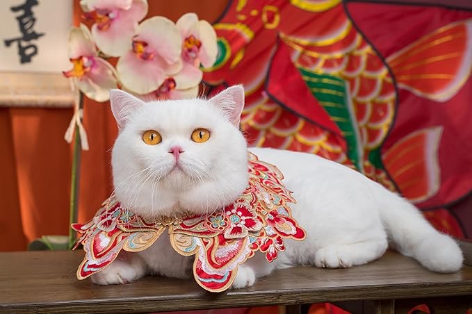Leo Kitty Chinese-Style Classic Lion Pet Costume for Cats & Small Dogs — Festive New Year & Christmas Outfit, Cute & Joyful, Top Choice for a Unique Look