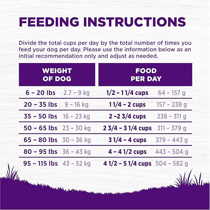 Wellness Complete Health Dry Dog Food, Grain-Free, Natural, Chicken Recipe, (24-Pound Bag)