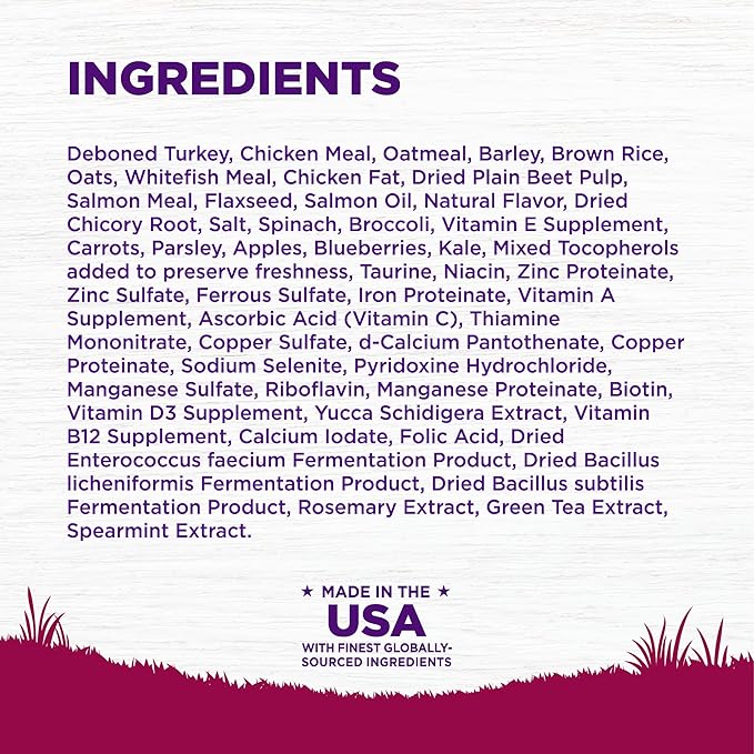 Wellness Complete Health Puppy Dry Dog Food, Small Breed, Wholesome Grains, Natural, Turkey, Oatmeal, & Salmon Recipe, (4-Pound Bag)