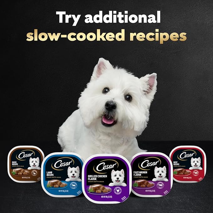 Cesar Classic Loaf in Sauce Adult Wet Dog Food Grilled Steak & Eggs Flavor, 3.5 oz Easy Peel Trays, 24 Count