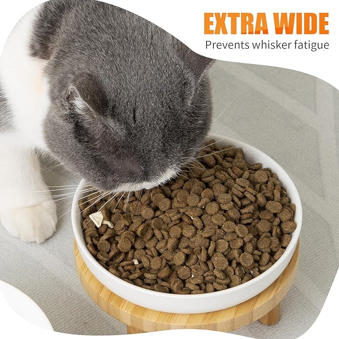 Lusifaco Shallow Elevated Cat Bowls,5.9 Inch Wide Raised Ceramic Cat Dishes with Bamboo Stand, Whisker Friendly Pet Water or Food Plates Feeding Station for Indoor Cats, Kitten (Blue,Set of 2)