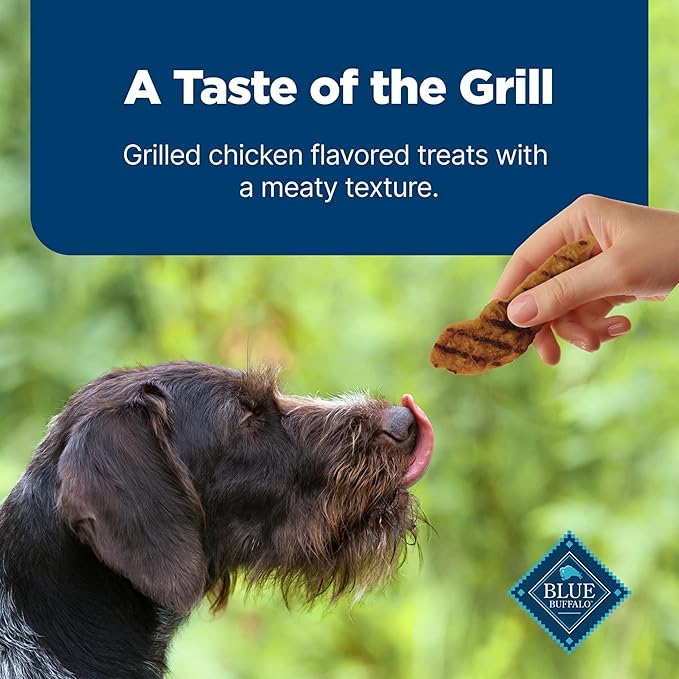 Blue Buffalo Nudges Grillers Natural Dog Treats, Made in the USA with Real Chicken, 16-oz Bag (Pack of 5)
