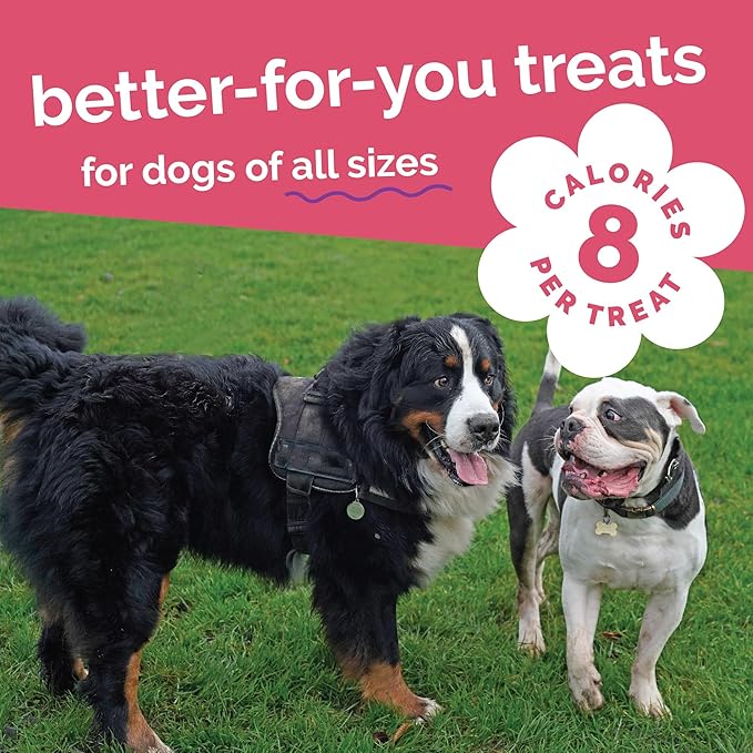 Fruitables Baked Dog Treats, Healthy Pumpkin Treat for Dogs, Low Calorie & Delicious, Pet Essential, Made with No Wheat, Corn & Soy, Made in the USA, Allergy Friendly, Pumpkin and Apple Flavor, 20 oz