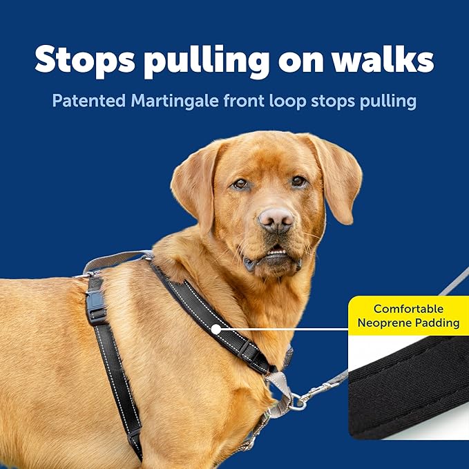 PetSafe 3 in 1 No-Pull Dog Harness for Large Dogs - Walk, Train or Travel - Helps Pets from Pulling on Walks - Seatbelt Loop Doubles as Quick Access Handle - Reflective - Large, Black
