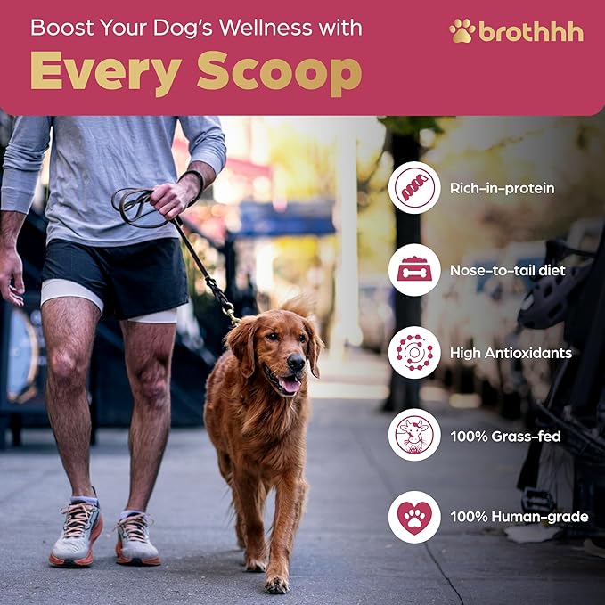 Beef Organ Bone Broth Meal Topper for Dogs - 100% Grass Fed, Veterinarian Approved, Non-GMO by Brothhh - Supports Immunity, Joint & Heart Health, Vision & Vitality - No Fillers - Pet Supplement