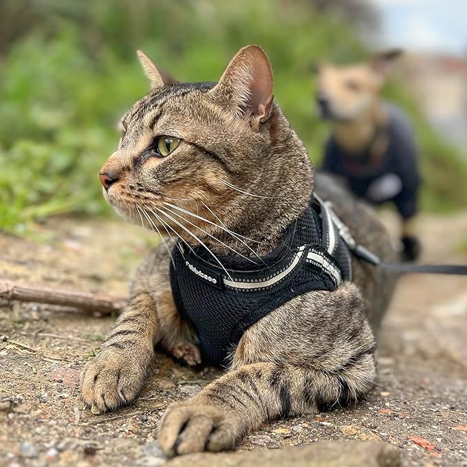 rabbitgoo Cat Harness and Leash Set for Walking Escape Proof, Adjustable Soft Kittens Vest with Reflective Strip for Cats, Comfortable Outdoor Vest, Black, XL