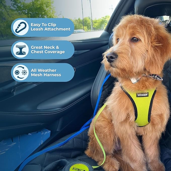 Best Pet Supplies Voyager Step-in Air All Weather Mesh Harness and Reflective Dog 5ft Leash Combo with Neoprene Handle, for Small, Medium and Large Breed Puppies - Set (Lime/Black Trim), XX-Small