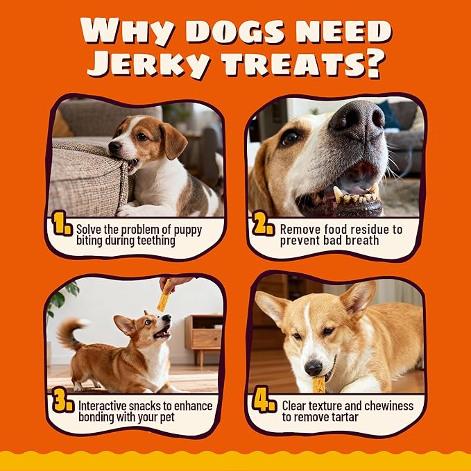 5.29oz Pumpkin & Chicken Jerky Dog Treats - Grain Free Dog Snacks - All Natural Chewy Dog Treats Digestive Health Training Treats for All Dog
