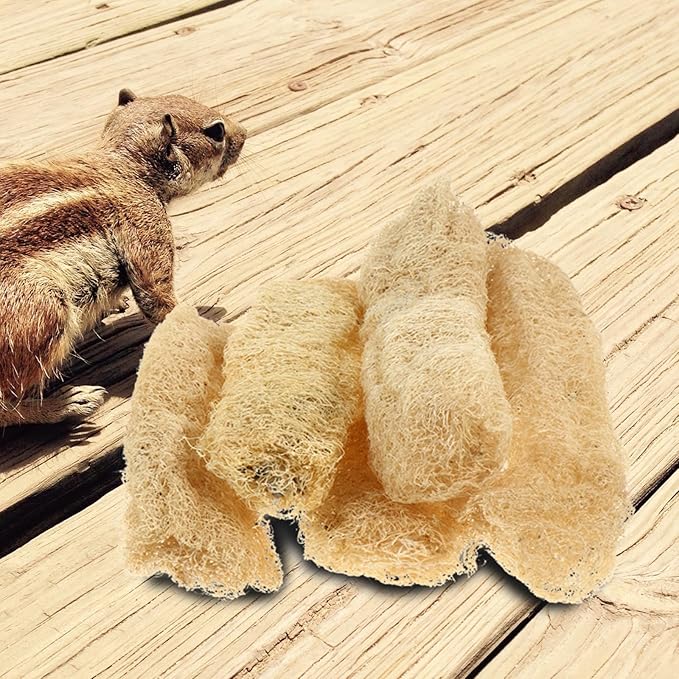 TEHAUX Natural Loofah Chewing Toys 5-Pack for Small Animals Tooth Cleaning and Fur Scrubbing Bath Tools for Guinea Pigs Hamsters Rabbits Safe Teeth Grinding