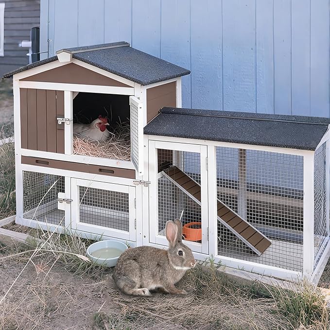 GUTINNEEN Small Chicken Coop for 1–2 Chickens, Expandable Outdoor Rabbit Hutch with Roof, Leakproof Tray,Multiple Doors,57" L x 21" W x 33" H, for Chickens, Bunnys Guinea Pigs, Beginner-Friendly