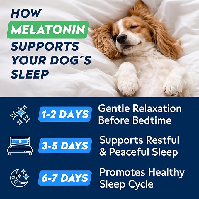 STRELLALAB Melatonin for Dogs to Sleep 6mg - Doggie Sleep Aid Treats - Sleeping Pills for Anxiety - Extra Strength Calming Chews Large & Medium Breed Help Sleep at Night - Made in USA - 60Ct