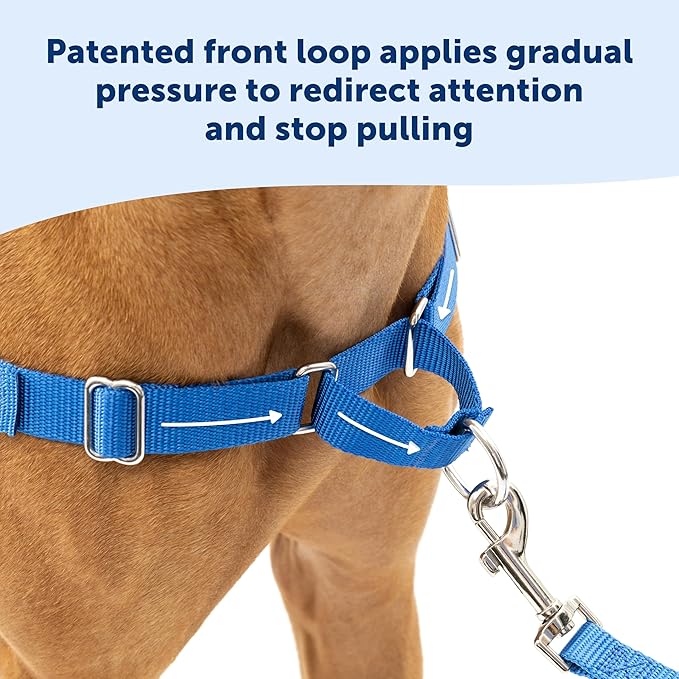 PetSafe Easy Walk Harness for Dogs - Pull-Free Walks - Patented Martingale Loop Design - Front Chest Leash Attachment - Comfort Straps - Breathable Harness Design - Small, Royal Blue/Navy Blue